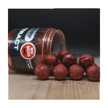 Boilies Squat Carp Hi-Attract Boilies v dipu Big Boss 20mm 220gr