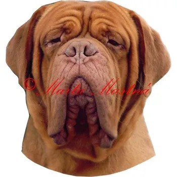 Samolepka bordeauxská doga čelně archiv