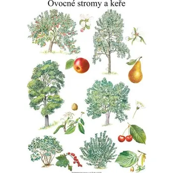 Matematika Soubor nástěnných obrazů - Rozmanitost živé přírody pro 3. - 5. ročník