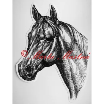 Samolepka kůň plnokrevník, koně c269 - Malá - přibližně jako pohlednice