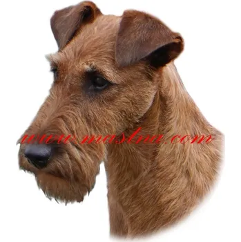 Samolepka irský teriér 182