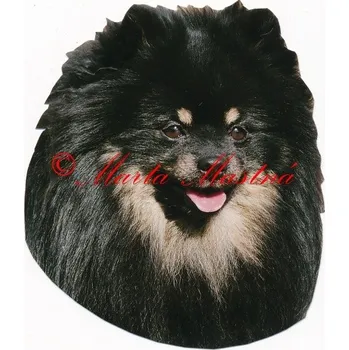 Samolepka špic - archiv 251