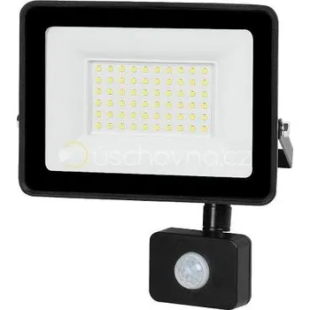 Reflektor LED ORO Zona, 50 W, 4000 lm, NW-B-PIR