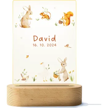 Lampička Barevná LED lampa se jménem - lesní zvířátka