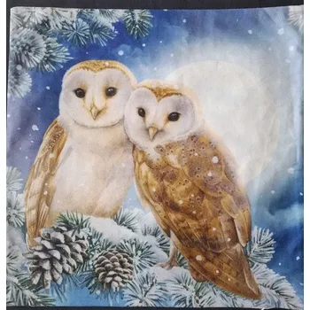 Povlak na dekorativní polštářek Povlak na polštářek vánoční Sovičky