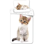 Bavlněné povlečení kočičky 70x90, 140x200 Kitten white