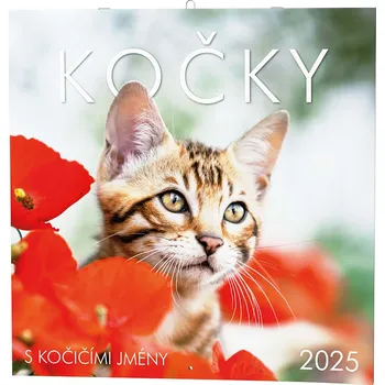 Kalendář Baloušek Tisk Nástěnný kalendář BNL1-25 Kočky 2025
