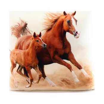 Dekorativní polštářek Polštářek 33 x 33 cm koně