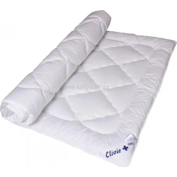 přikrývka Přikrývka Clivie celoroční 200x135(1000g)
