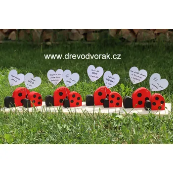 Žertovný předmět Řekni to beruškou / broučkem Varianta: brouček