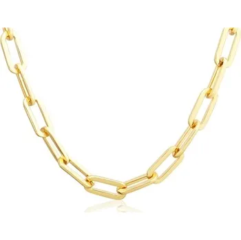 Náhrdelník Luxusní stříbrný pozlacený náhrdelník velká oka SVLN0583SJ4GO45 + dárek zdarma