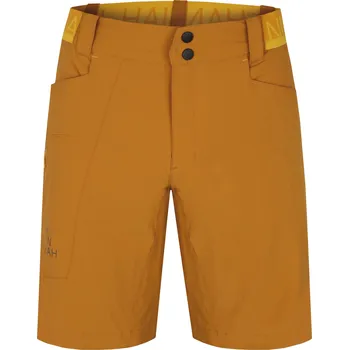 Pánské kraťasy Pánské kraťasy HANNAH NAIRI II BUCKTHORN BROWN XXL