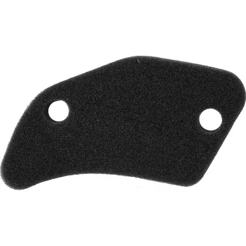 Filtr pro motocykl RMS Vzduchový filtr sekundární Piaggio 50 100601191