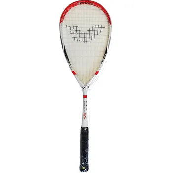 Squashová raketa Dunlop VIS raketa squashová - G2451B