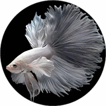 Jedlá dekorace na dort Jedlý papír bílá závojnatka 19,5 cm