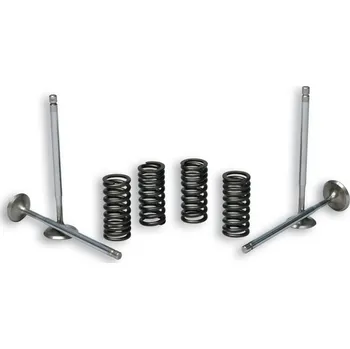 Motodíl Malossi Ventily + pružiny Piaggio 125-300 2714047