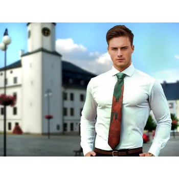 Kravata HEDVA ČESKÝ BROKÁT Kravata PESh 8 cm s motivem Rýmařov zelená