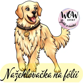 Nažehlovačky na fólii Nažehlovačka na fólii, zlatý retrívr, 8,7 x 6,4 cm /ks