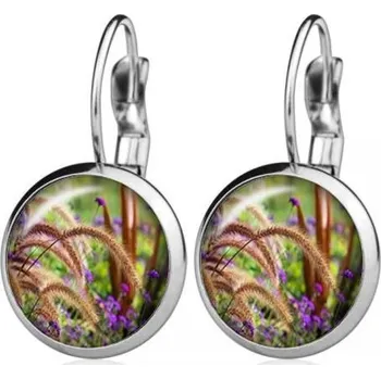 Náušnice Ocelové náušnice luční tráva