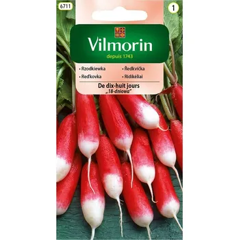 Semeno Ředkvička De dix-huit jours (18denní, červenobílá)