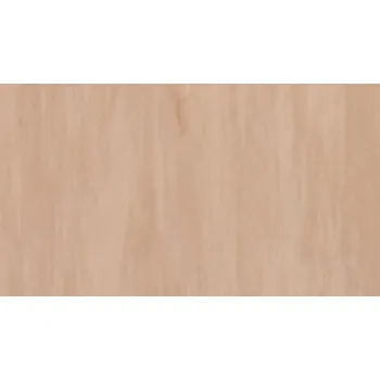 vinylová podlaha Tarkett - Francie STANDARD PLUS (2.0 mm) - Standard SAND MEDIUM 0914
