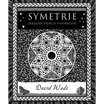 Kniha Symetrie - David Wade (E-Kniha)