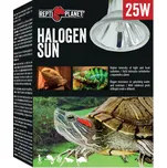Repti Planet Halogen Sun