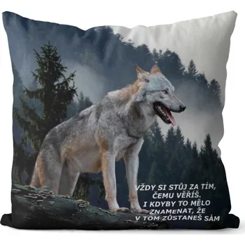 Dekorativní polštářek Polštář Stůj za tím (Velikost: 40 x 40 cm)