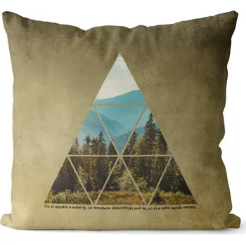 Dekorativní polštářek Polštář Co si myslíš (Velikost: 40 x 40 cm)