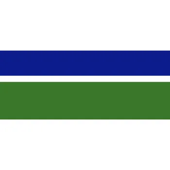 Vlajka Gambie vlajka - 60 x 90 cm - tunel, karabina