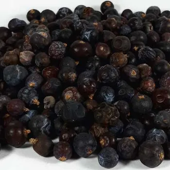 Koření Jalovec černý celý 100g Zelené Drahokamy