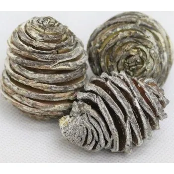 Sušené květiny Platyspernum stone washed 1 kg, hnědo šedé