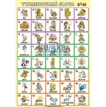 Český jazyk Vyjmenovaná slova BLM XL (100x70 cm)