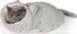 Pelíšek pro kočku Tommi Grace in Grey 52 x 52 x 50 cm stříbrošedý