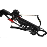Barnett Blackcat 195 lb