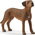 Schleich 13895 pes ridgback rhodéský