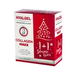 Silvita Hyalgel Collagen Maxx 2 x 500 ml