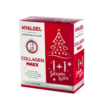 Sportovní výživa Silvita Hyalgel Collagen Maxx
