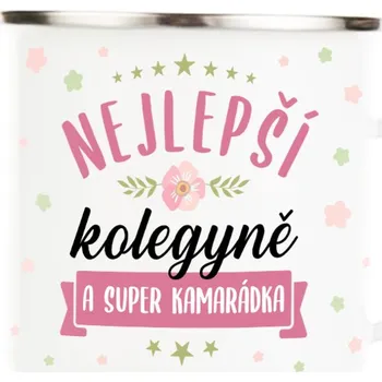Plecháček NEJLEPŠÍ KOLEGYNĚ A KAMARÁDKA 330 ml