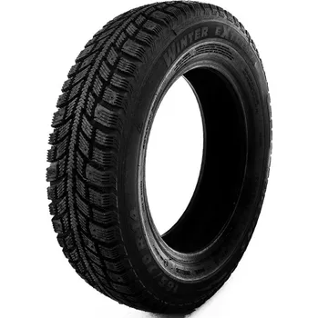 Zimní osobní pneu Protektor Winter Extrema 195/65 R15 91 T