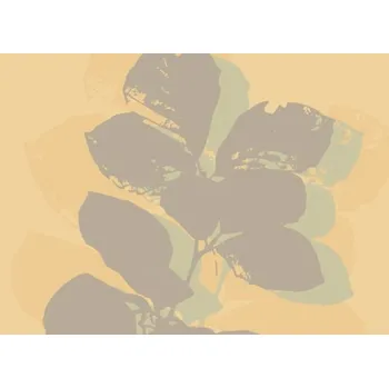 prostírání Korkové prostírání Otisk lupenu, střední - /29*21,5 cm/ - 4 ks