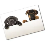 Kuchyňská deska skleněná Tři štěňata