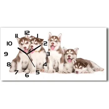 Hodiny Skleněné hodiny na stěnu Štěně Husky