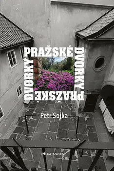 Umění Pražské dvorky - Petr Sojka (200, pevná)