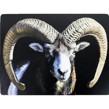 prostírání 4ks pevné korkové prostírání beran - 30*40*0,4cm