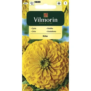 Semeno Ostálka sličná Kirke (žlutá)