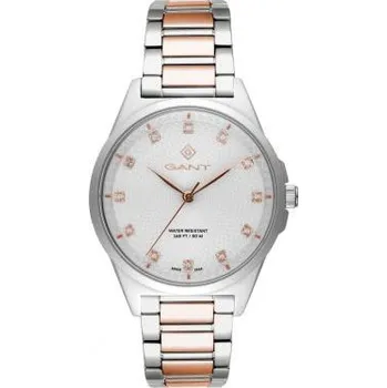Módní doplněk Dámské hodinky Gant Scarsdale G156003