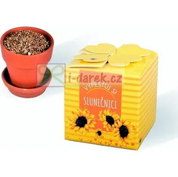 Žertovný předmět Vypěstování kytičky - Slunečnice