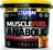 USN Muscle Fuel Anabolic 4000 g, jahoda