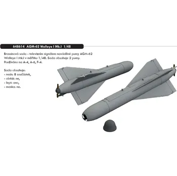 Plastikový model Eduard 1/48 AGM-62 Walleye I Mk.I